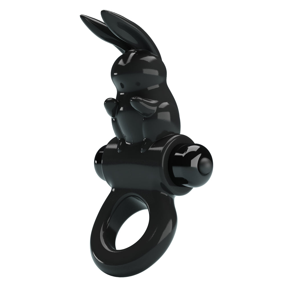bi-210245 product image 2