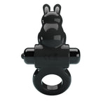 bi-210245 product image 4