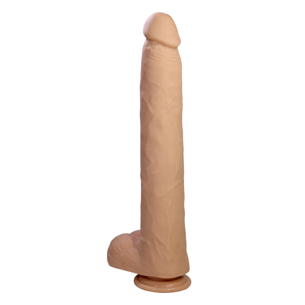 bw-008162 product image 4