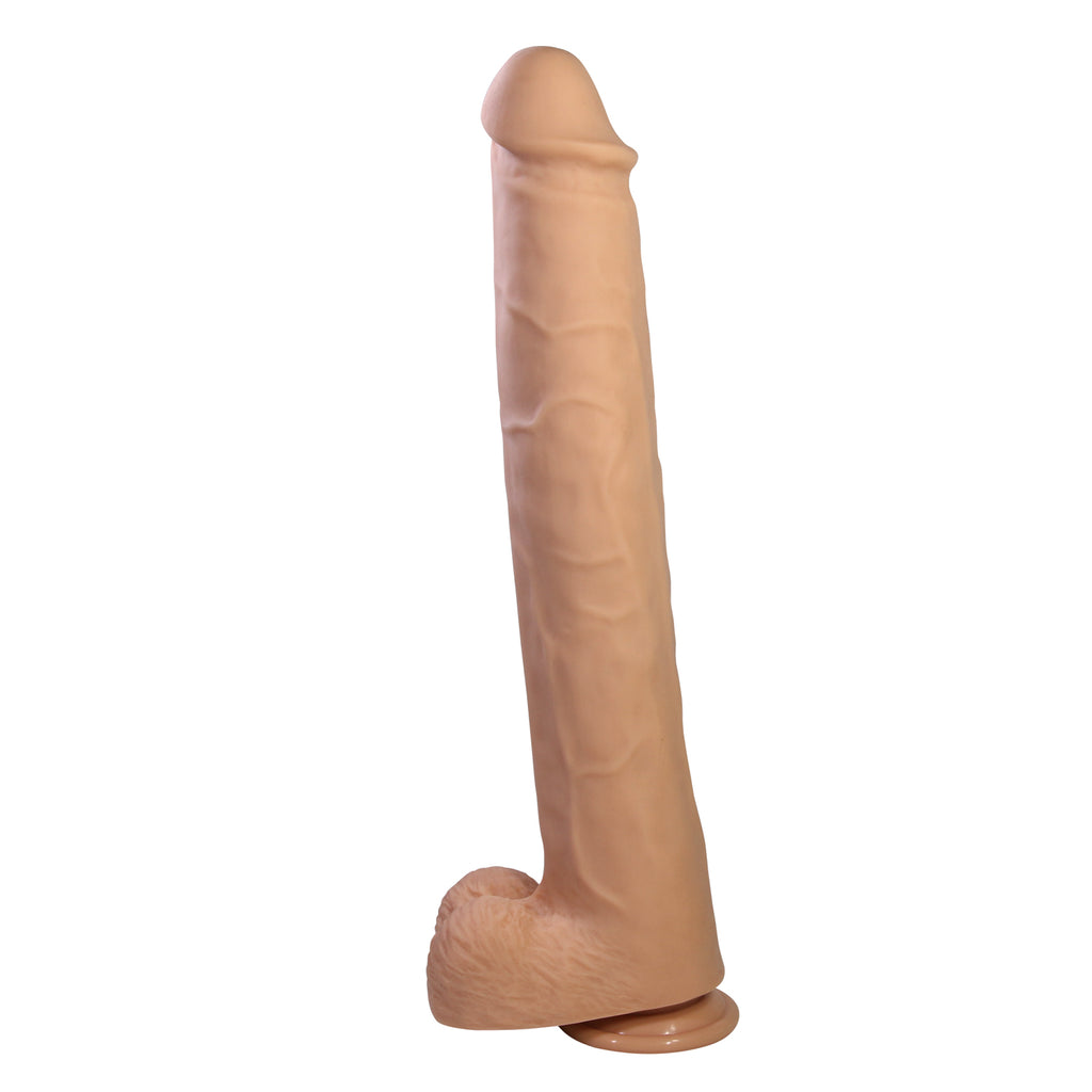 bw-008163 product image 3