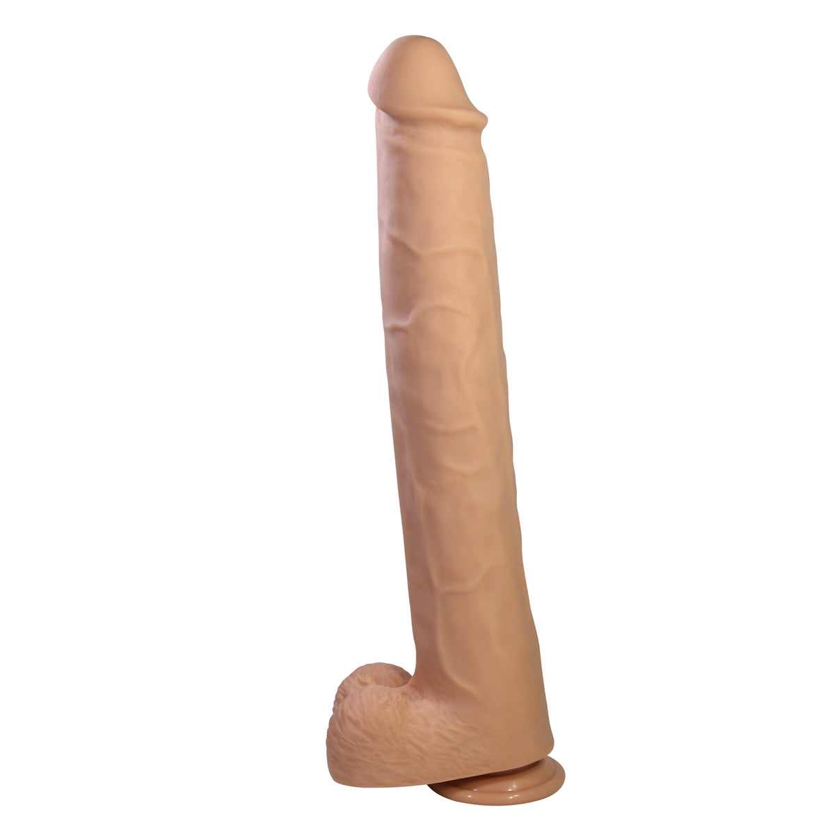 bw-008163 product image 3